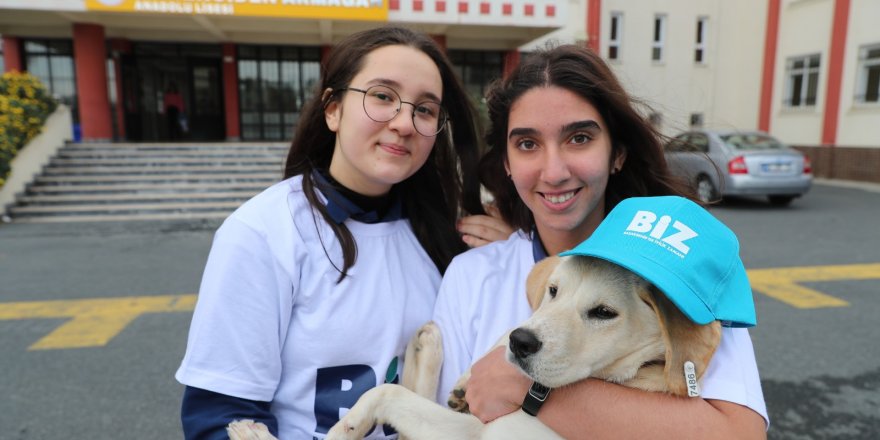 ÖĞRENCİLER SAHİPLENDİKLERİ KÖPEĞE OKUL BAHÇESİNDE BAKIYOR