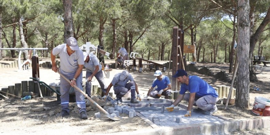 Sultangazi Belediyesinden Yeşil Alanlara Bakım