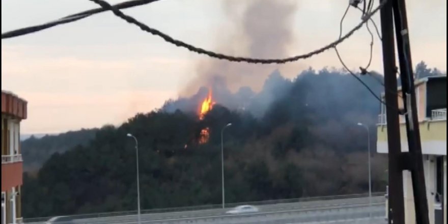 ARNAVUTKÖY'DE ORMAN YANGINI (1)