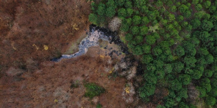 Şile’de Ormana Bırakılan Yüzlerce Otomobil Lastiği Havadan Görüntülendi