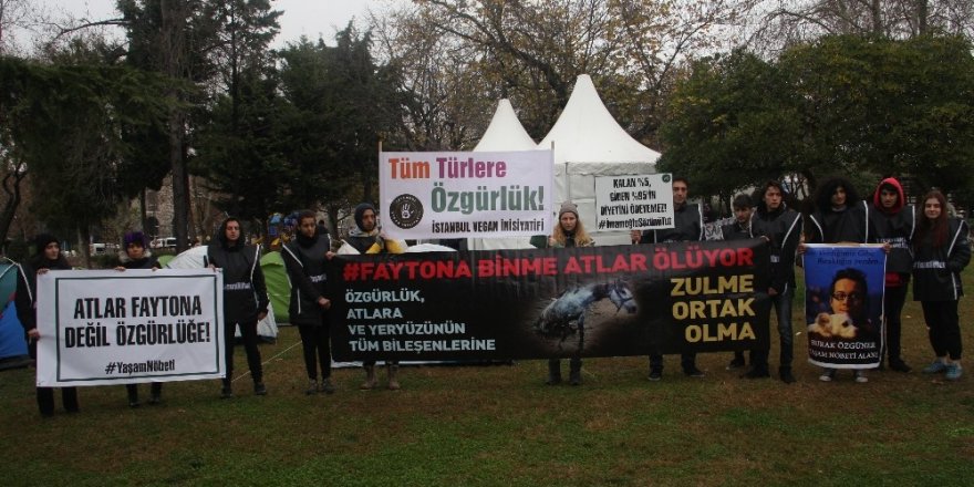 İbb Önündeki Fayton Eylemi 6. Gününde