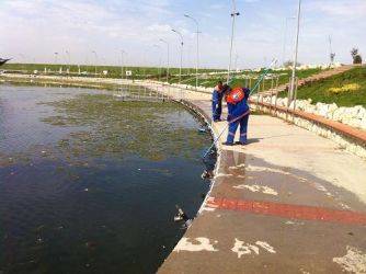 Büyükçekmece Gölü’nde  temizlik yapıldı