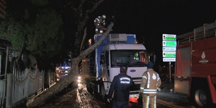 ÜSKÜDAR'DA KAMYON AĞACA TAKILDI, CADDE ULAŞIMA KAPANDI