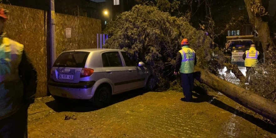 İstanbul’da Fırtına Ağaçları Devirdi