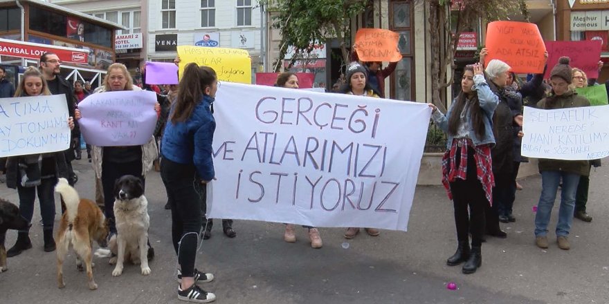 BÜYÜKADA'DA FAYTONCULAR VE HAYVANSEVERLERDEN  "ATLARIMIZI GERİ VERİN" EYLEMİ