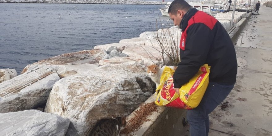 Maltepe’deki Can Dostlara destek