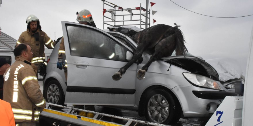 BÜYÜKÇEKMECE D-100'DE OTOMOBİL BAŞIBOŞ ATLARA ÇARPTI 