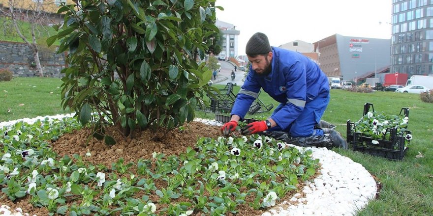 Kağıthane Nisan’da peyzaj çalışmalarıyla rengarenk olacak