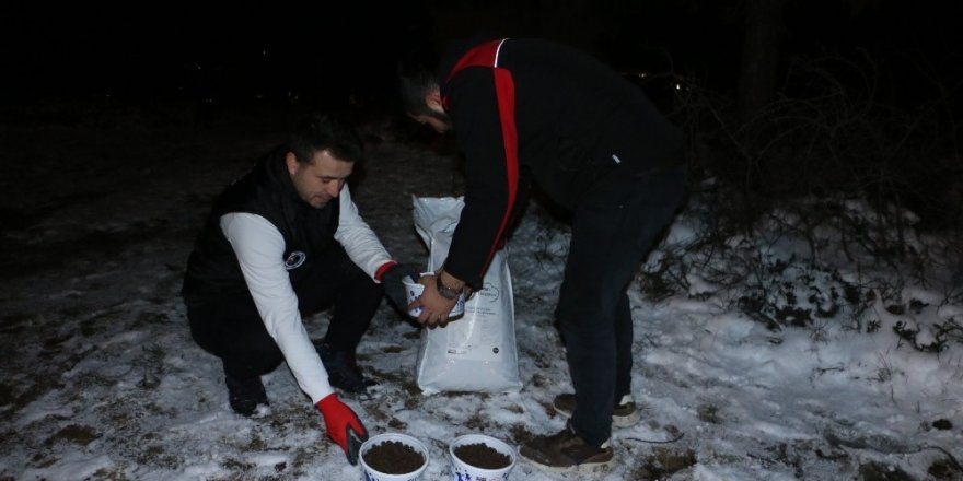 Kartal Belediyesi Soğuk Kış Günlerinde De Sokak Hayvanlarının Yanında