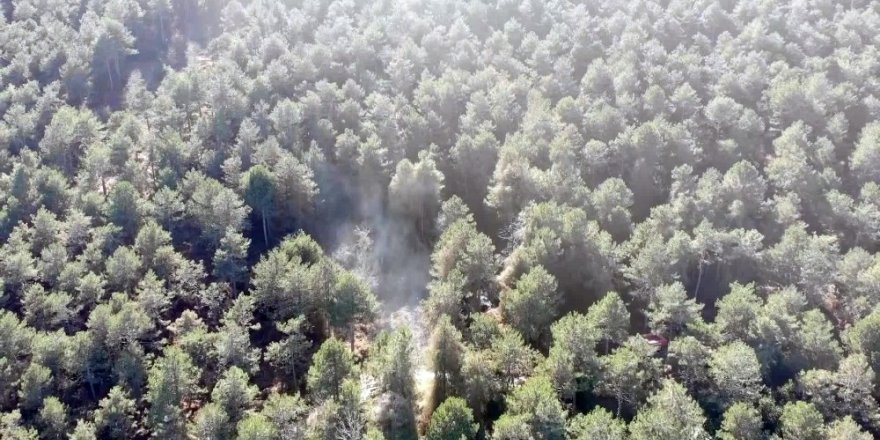 Aydos Ormanı’nda Yangının Çıktığı Alan Havadan Görüntülendi