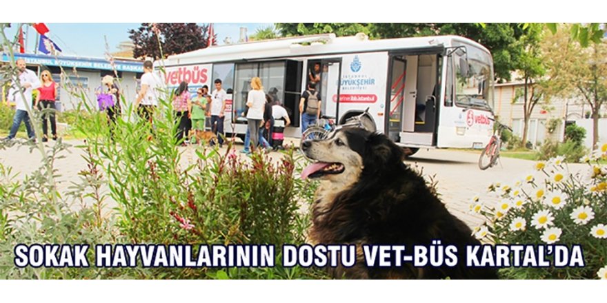 Sokak Hayvanlarının Dostu Vet-büs Kartal’da