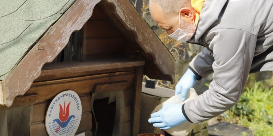 Kağıthane Belediyesi Sokak Hayvanlarını Unutmadı