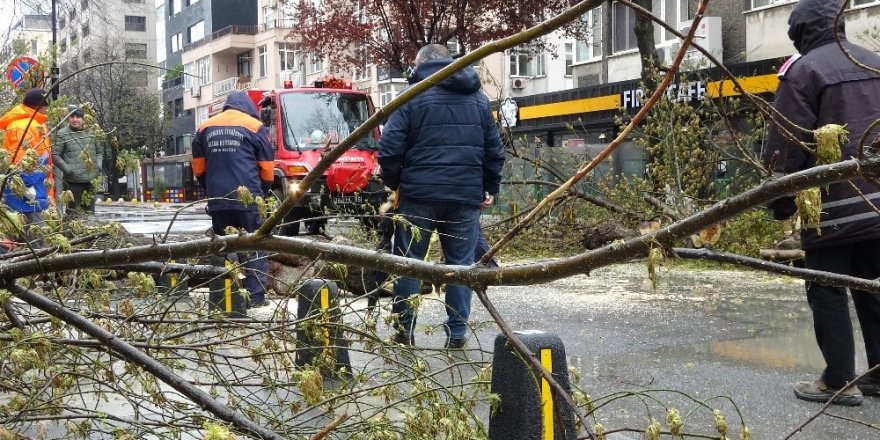 İstanbul'da  Fırtınanın Etkisiyle Devrilen Ağaç Yolu Trafiğe Kapattı