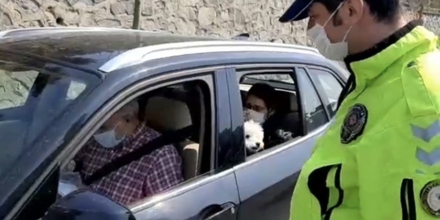 Köpeğini Ameliyata Götüren Çiftle Polisin Diyaloğu Dikkat Çekti