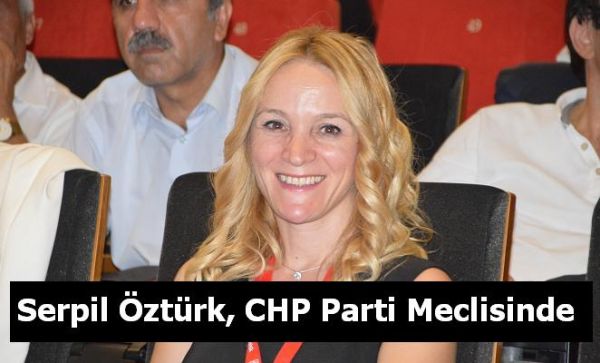 Serpil Öztürk, CHP Parti Meclisinde