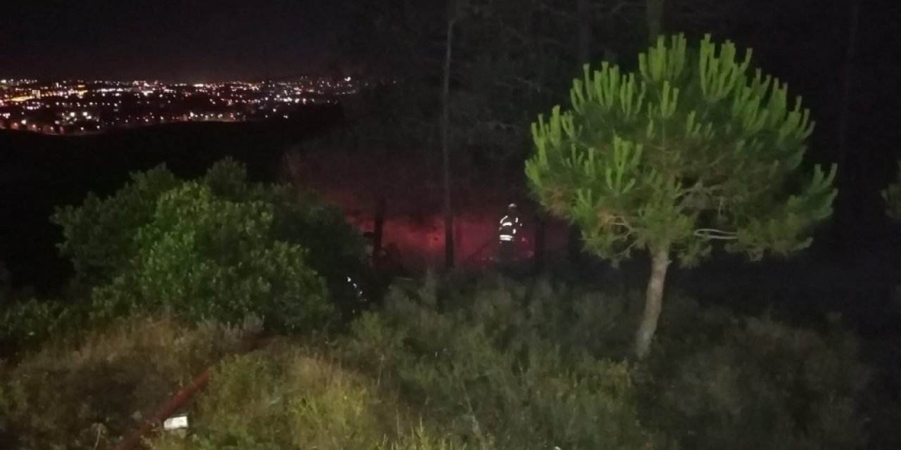 Sanayi İçindeki Ormanlık Alanda Çıkan Yangın Yürekleri Ağza Getirdi