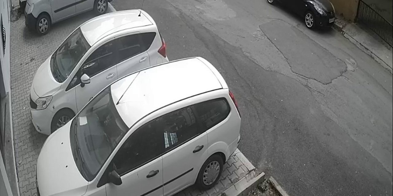 Maltepe’de Evin Bahçesindeki Köpeklerin Çalındığı Anlar Kamerada