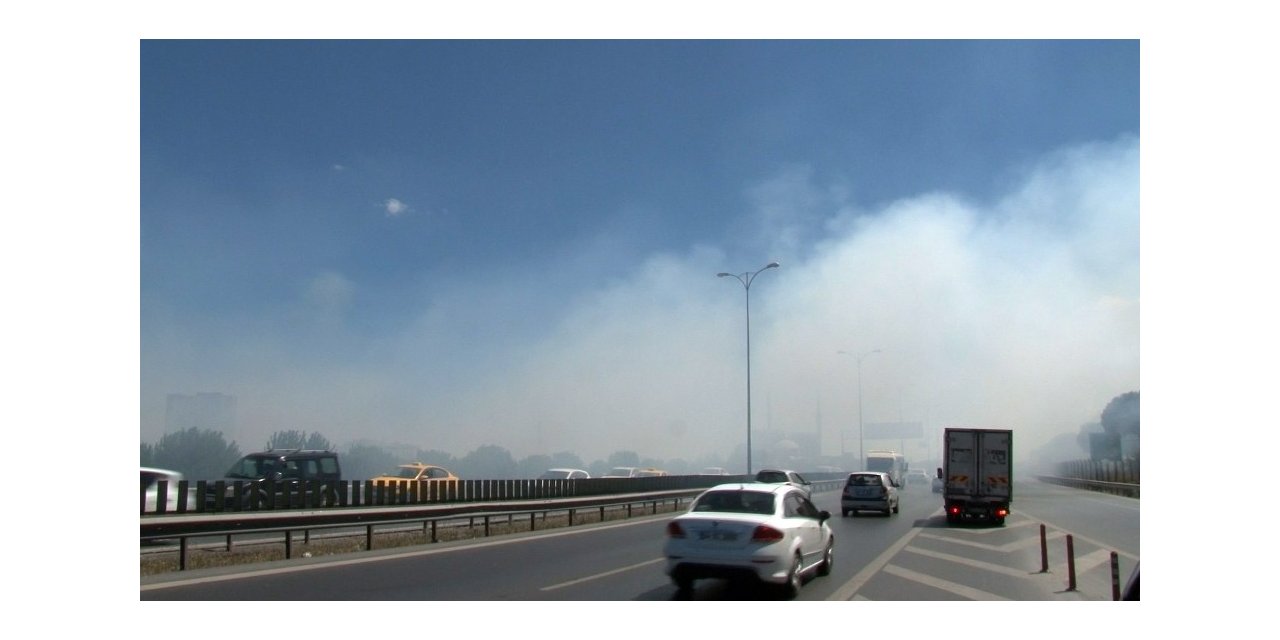 Yol Kenarında Çıkan Yangında Göz Gözü Görmedi