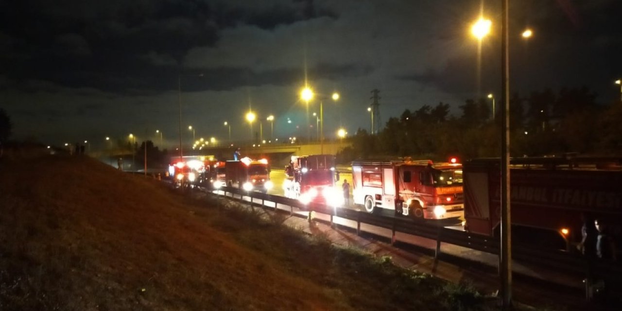 Tem Otoyolu Kenarındaki Ormanlık Alanda Çıkan Yangın İtfaiye Ekiplerini Harekete Geçirdi