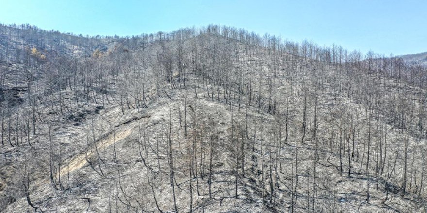 KAĞITHANE BELEDİYESİ HATAY'A NEFES OLACAK