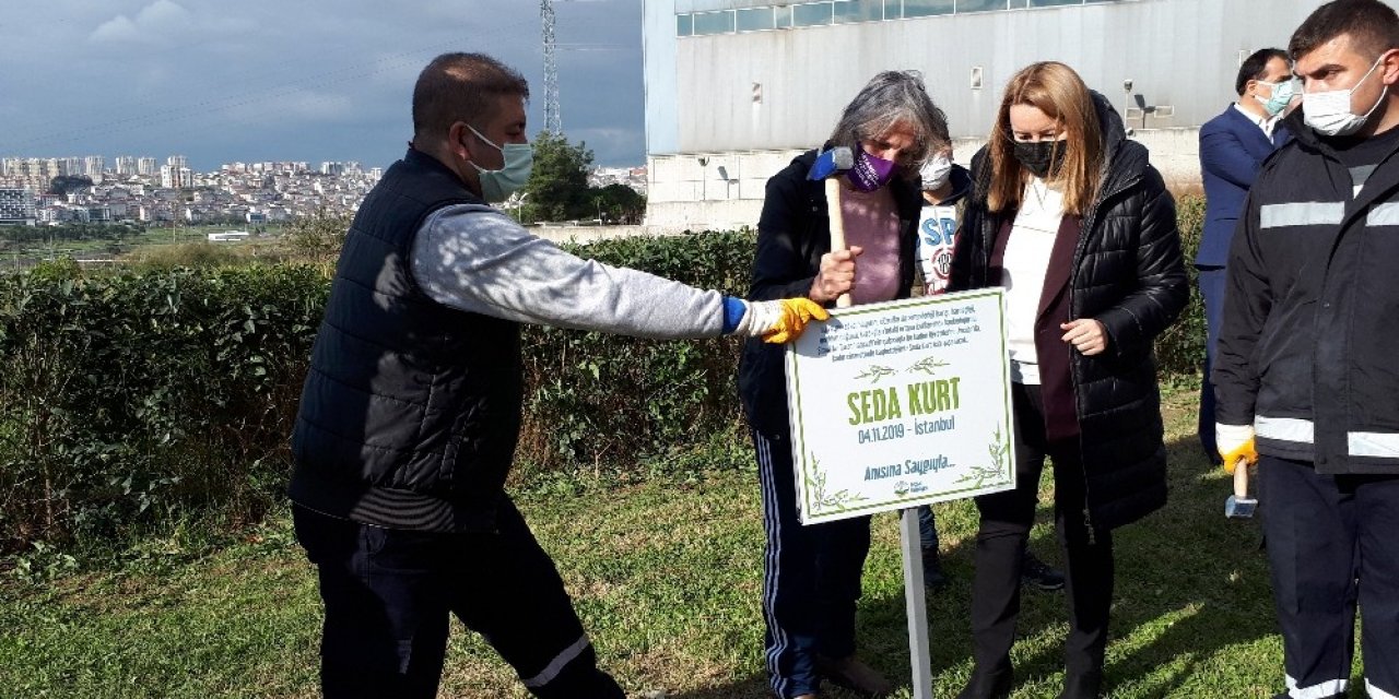 Avcılar’da Kadınlar İçin Zeytin Ağaçları Dikildi