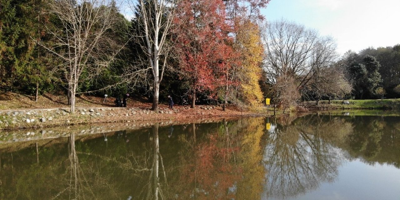 Atatürk Arboretumu’nda Sonbahar Manzarası