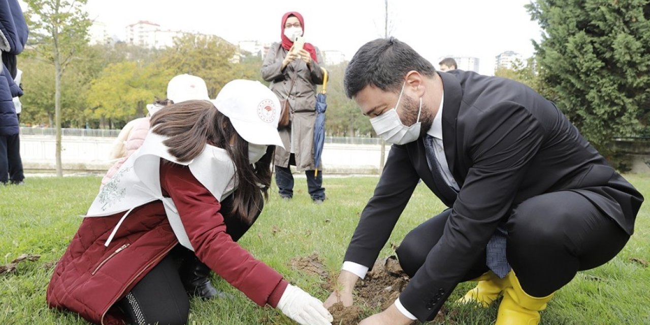 Kağıthane’de Her Köşebaşına Ağaç