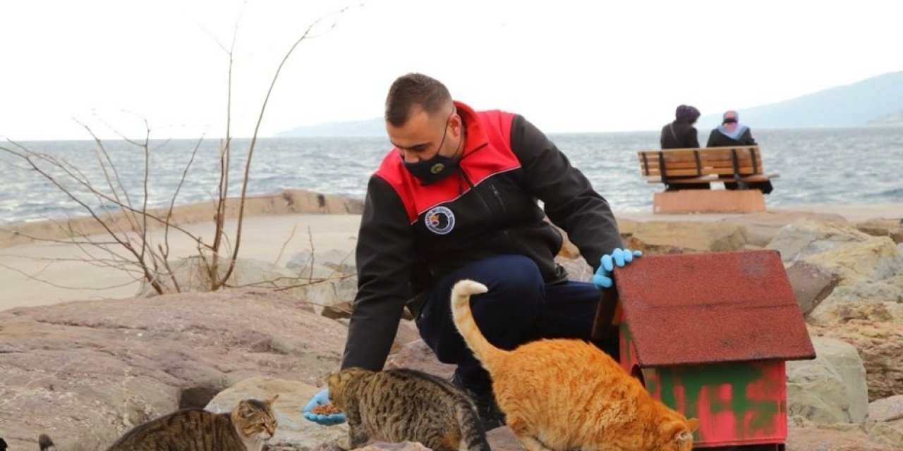 Kartal Belediyesinden Patili Dostlara Sıcak Yuva