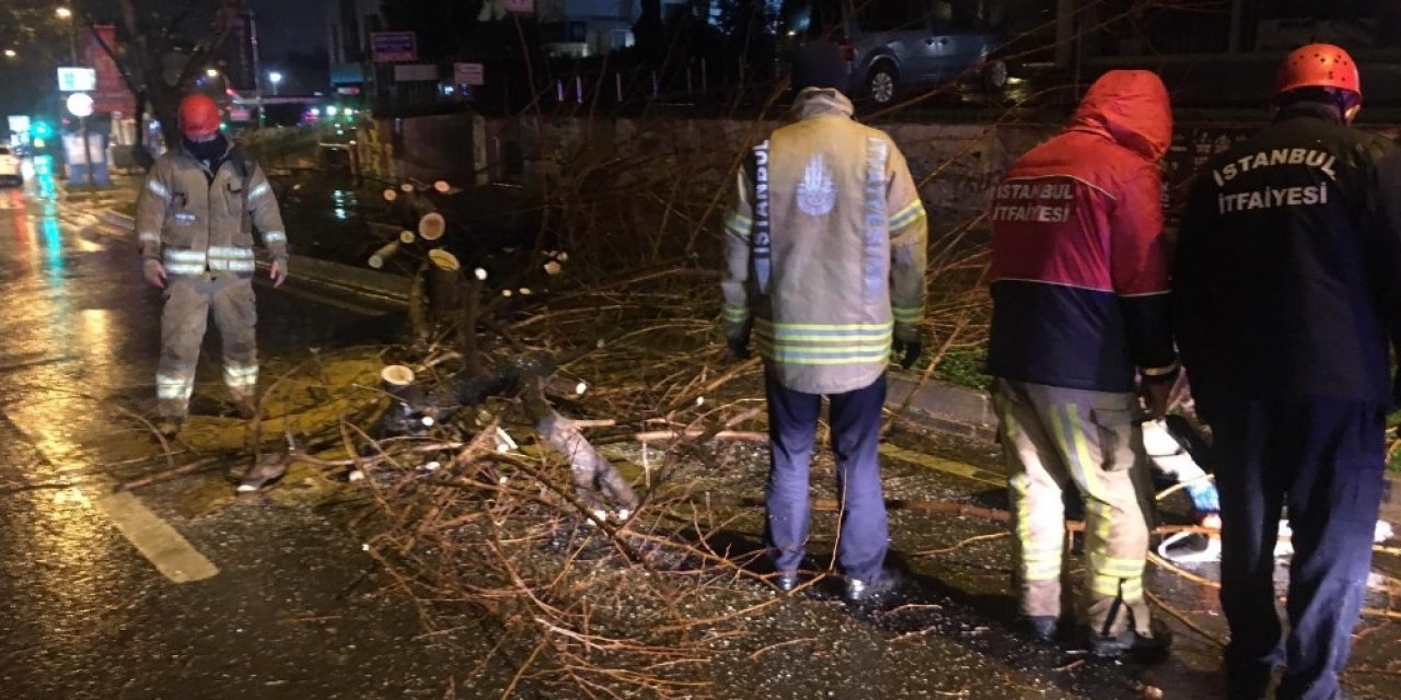 Bağdat Caddesi’nde Şiddetli Sağanak Ve Rüzgar Nedeniyle Ağaç Devrildi