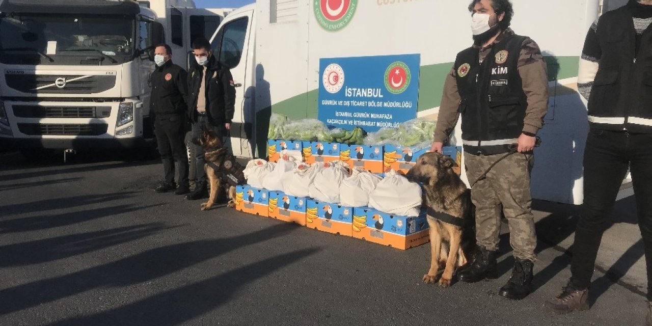 Ambarlı Limanı’nda Muz Konteynerinden Uyuşturucu Bulundu