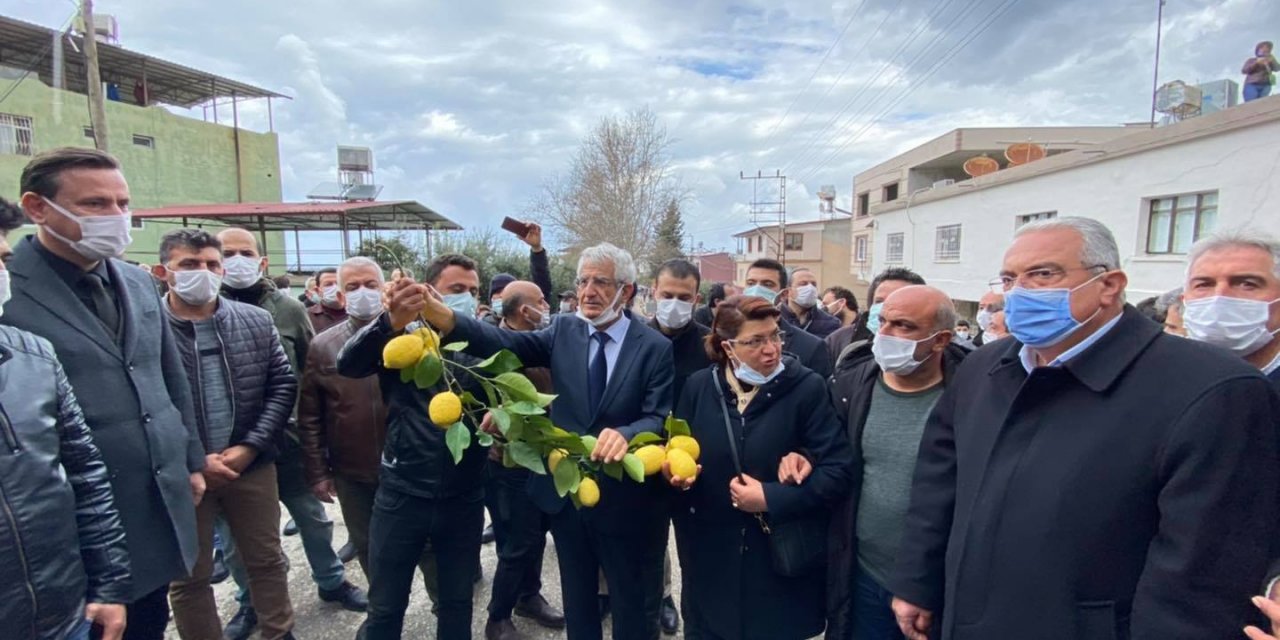 ARSUZ, DOĞASINA SAHİP ÇIKTI, ÇED TOPLANTISINI YAPTIRMADI