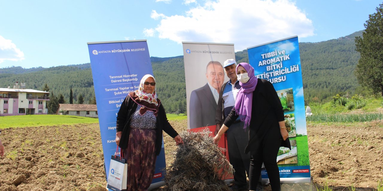 ANTALYA BÜYÜKŞEHİR, MANAVGAT'TA LAVANTA FİDESİ DAĞITTI