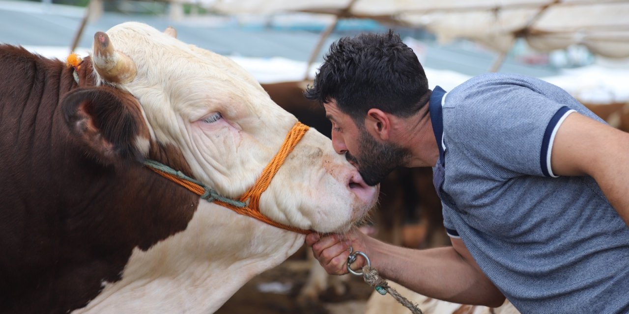 KARTAL BELEDİYESİ, KURBAN BAYRAMI HAZIRLIKLARINI TAMAMLADI