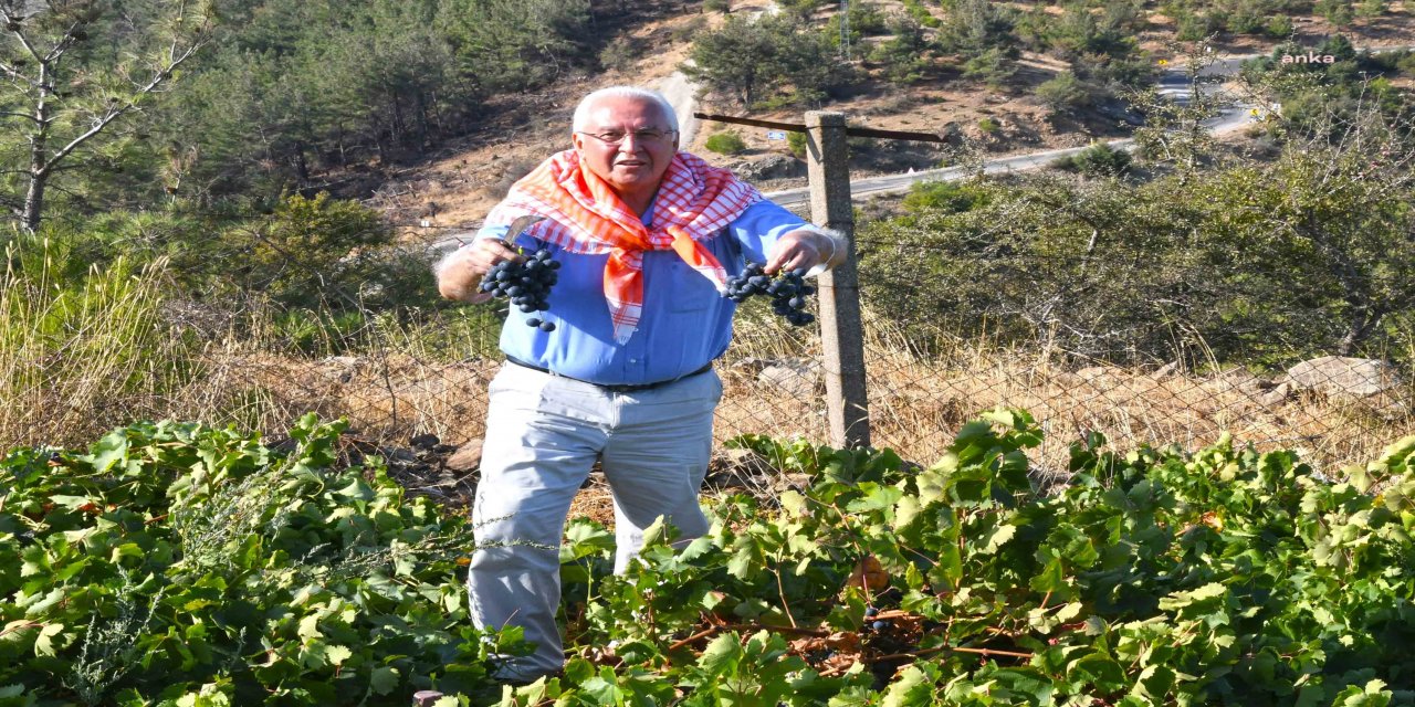 İZMİRLİLER KAVACIK ÜZÜM FESTİVALİ'NDE BULUŞACAK