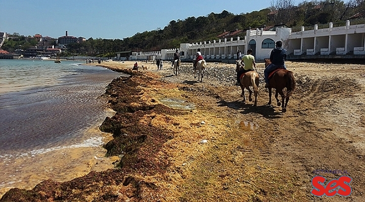 Kilyos plajı ağlıyor