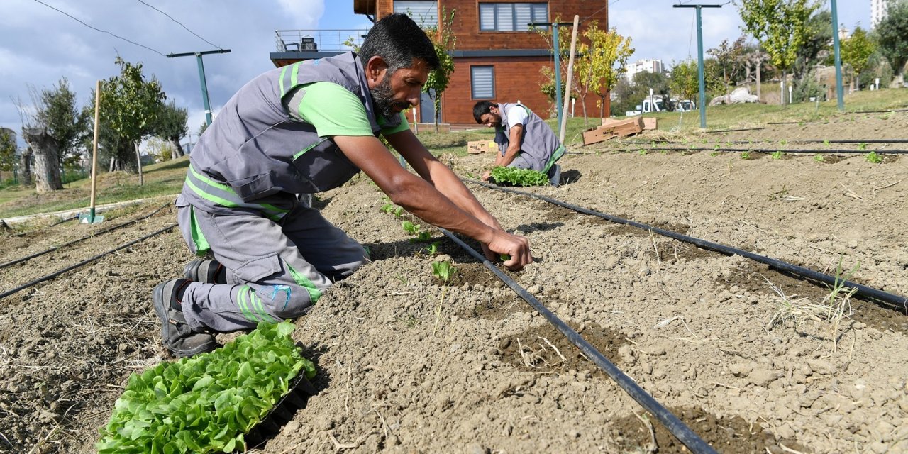 BEYLİKDÜZÜ BELEDİYESİ YAŞAM BAHÇESİ KIŞA HAZIR