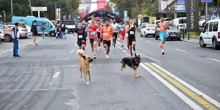 BEŞİKTAŞ BELEDİYESİ BEBEK 10K KOŞUSU VE SPOR FESTİVALİ DÜZENLEDİ