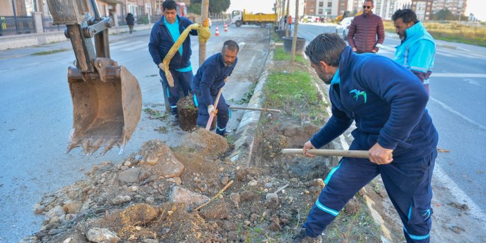 KENT AĞAÇLANDIRMA ÇALIŞMALARI DEVAM EDİYOR