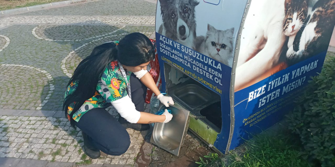 ATAKUM BELEDİYESİ'NDEN SOKAK HAYVANLARINA YUVA