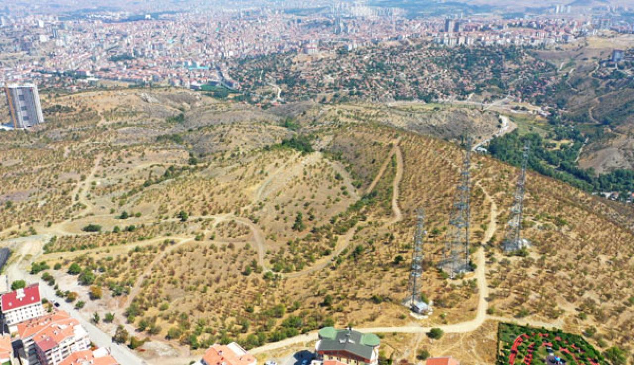 Bademlidere Projesi Dünya Üçüncüsü Oldu