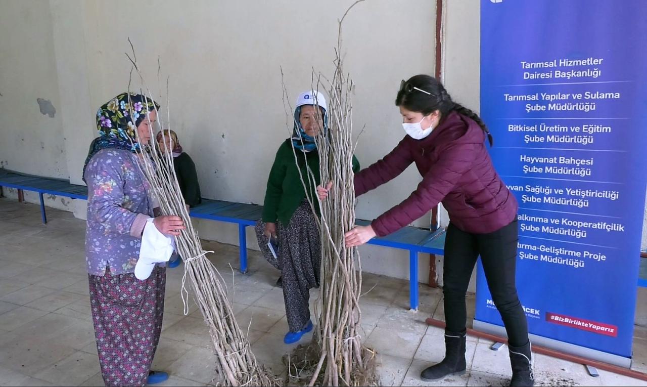 Büyükşehir’den ipekböceği yetiştiricilerine destek