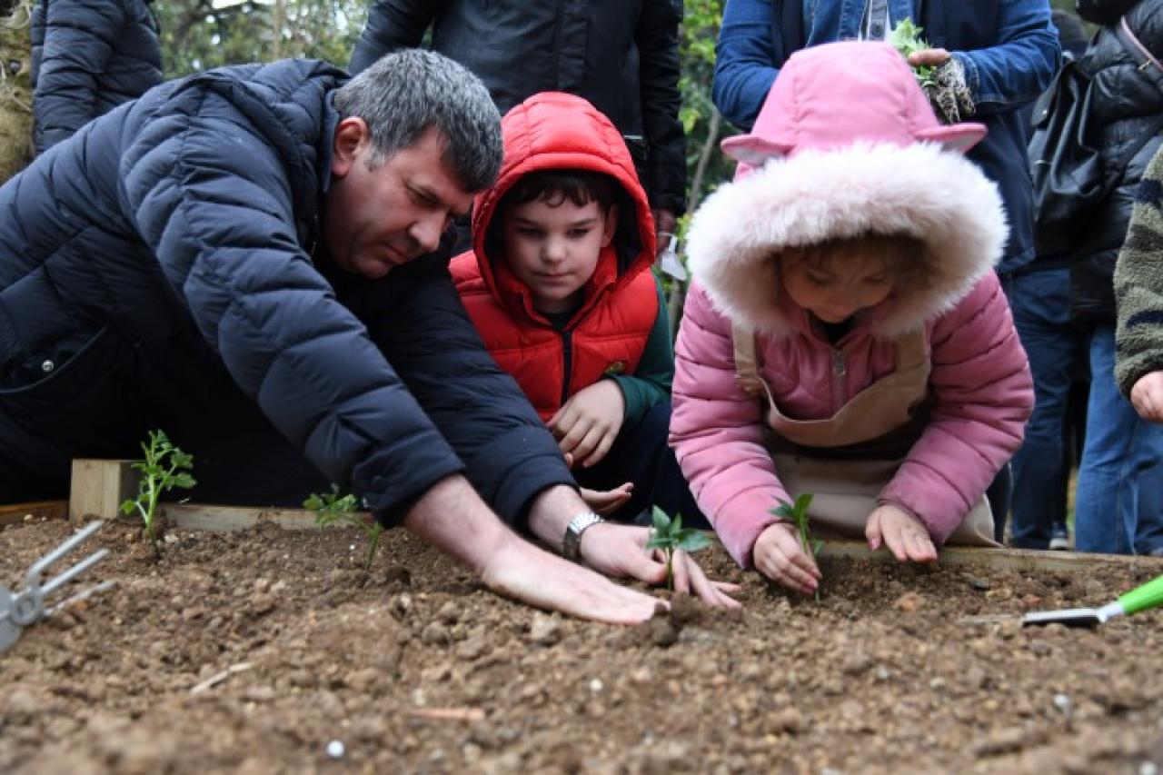 Kadıköy’de Bostanlar Çoğalıyor! Şimdi Acıbadem Ve Göztepe’de