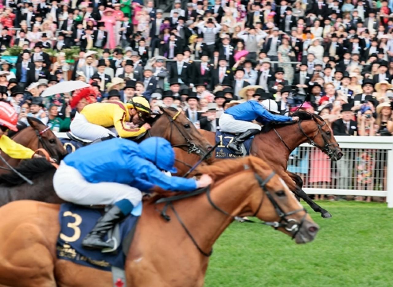 Royal Ascot yarış festivali sona erdi