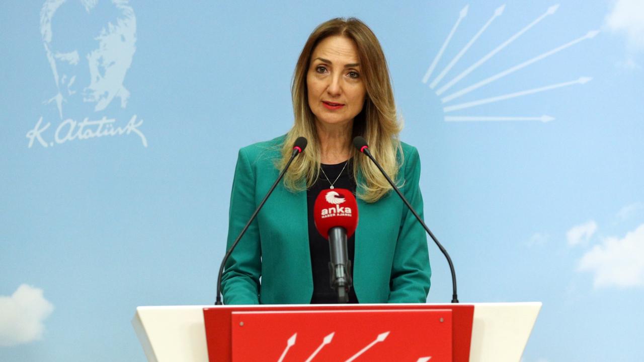 Aylin Nazlıaka: Danıştay 10. Dairesi “Padişahım Sen Çok Yaşa!” Dedi