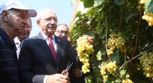 CHP GENEL BAŞKANI KEMAL KILIÇDAROĞLU’NDAN, ÜZÜM ÜRETİCİSİ AİLEYE ZİYARET