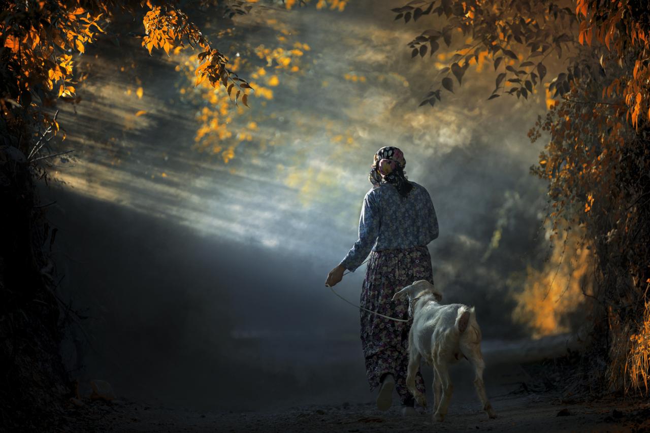 5. Ulusal Fotoğraf Yarışması için son başvuru tarihi 12 Ağustos