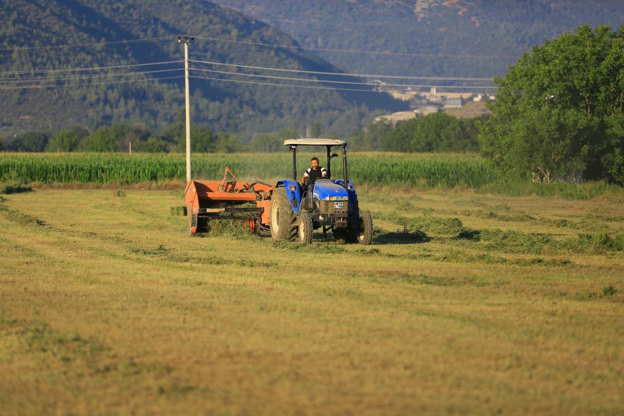 Büyükşehirden Üreticiye Ücretsiz Hayvan Yemi