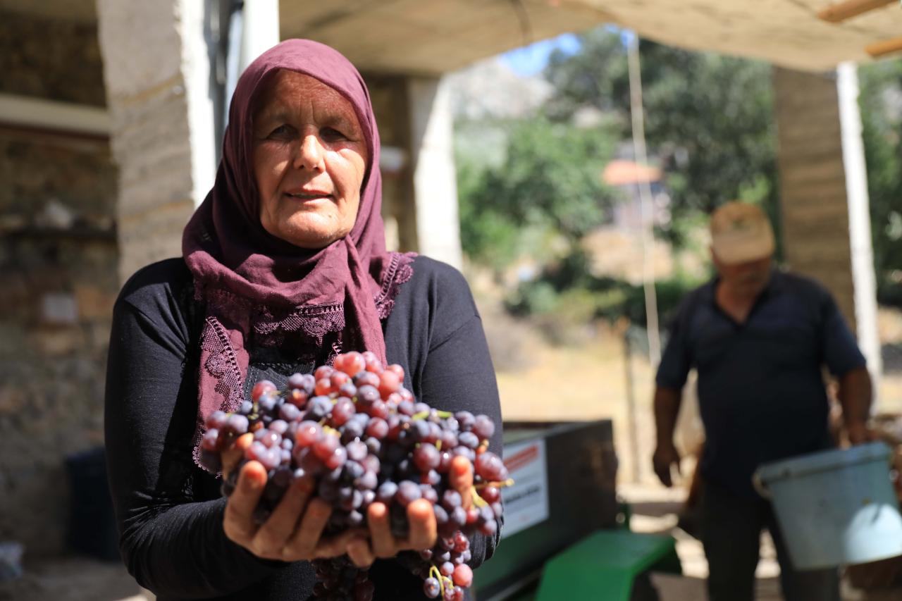 Büyükşehir’den İlçelere Üzüm Sıkma Makinesi