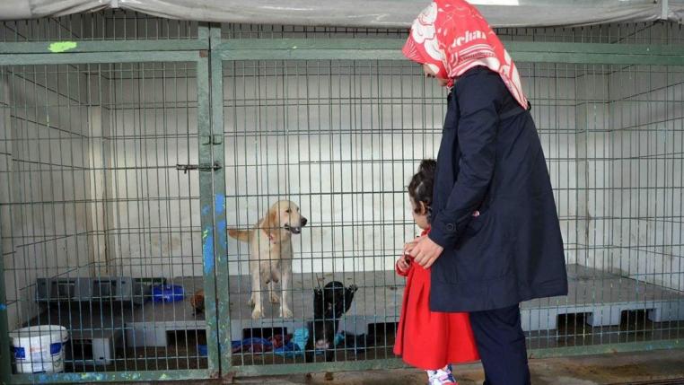 İLK KEZ KÖPEĞE DOKUNDULAR