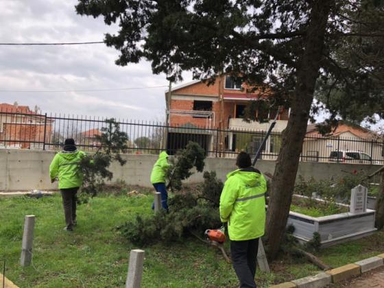 AĞAÇ BUDAMA ÇALIŞMALARI HIZ KAZANDI